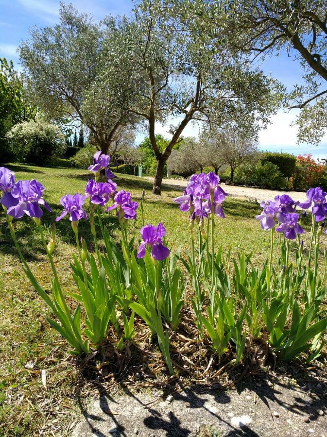 L'Abricotier Villa Malaucène Dış mekan fotoğraf